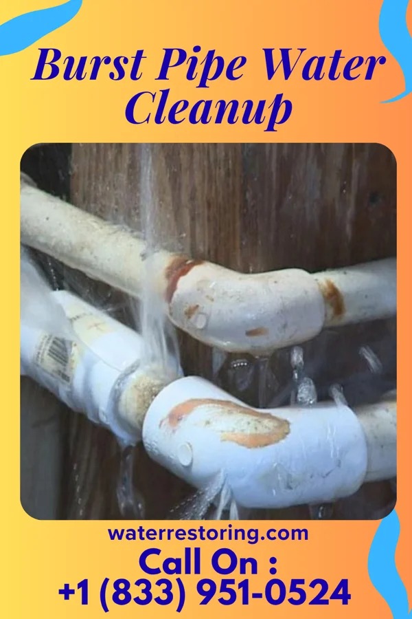 Burst Pipe Water Cleanup in Hummelstown, PA