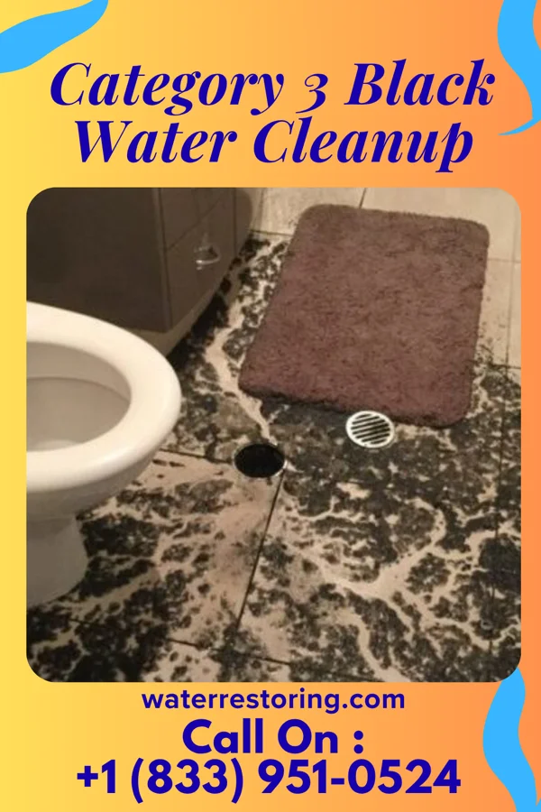 Category 3 Black Water Cleanup in Hummelstown, PA