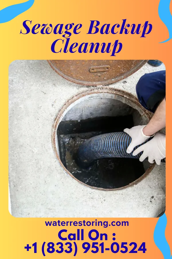 Sewage Backup Cleanup in Hummelstown, PA